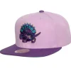 Headwear Mitchell & Ness -Violet Views Snapback Hwc Toronto Raptors