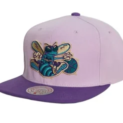 Headwear Mitchell & Ness -Violet Views Snapback Hwc Charlotte Hornets