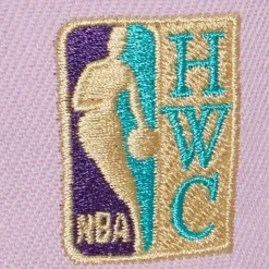 Headwear Mitchell & Ness -Violet Views Snapback Hwc Charlotte Hornets