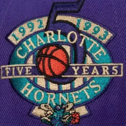 Headwear Mitchell & Ness -With Love Snapback Hwc Charlotte Hornets