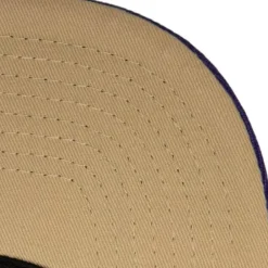 Headwear Mitchell & Ness -With Love Snapback Hwc Toronto Raptors