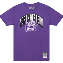Apparel Mitchell & Ness T-Shirts & Tops-Women'S Halftime Tee Northwestern University
