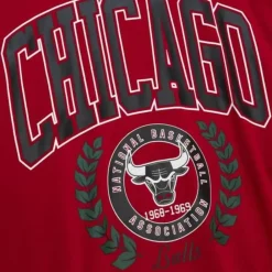 Apparel Mitchell & Ness Hoodies & Sweatshirts-Womens Logo Lt Crew 2.0 Chicago Bulls